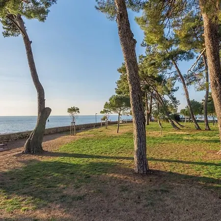 Hannah * Novigrad Istria