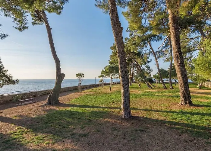 Hannah * Novigrad Istria